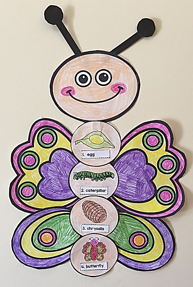 Butterfly Life Cycle Art