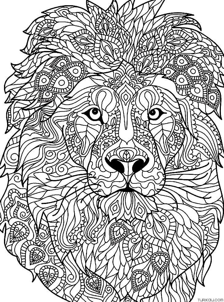 Lion Mandala Animal Coloring Page Turkau Lion Mandala Animal Coloring Page Turkau