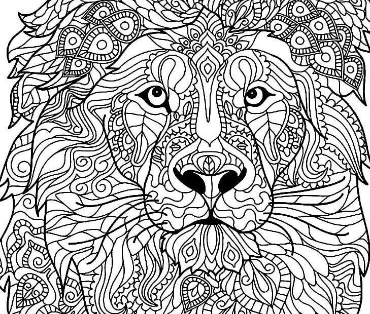 Lion Mandala Animal Coloring Page Turkau