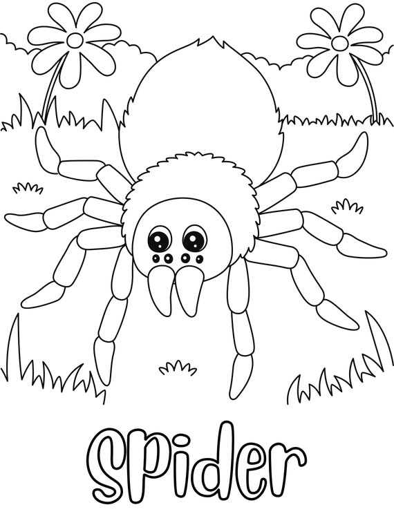 Lucas The Spider Coloring Sheet Coloring Pages Lucas The Spider Coloring Sheet Coloring Pages