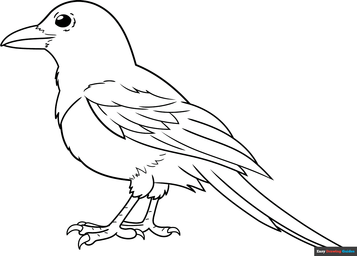 Magpie Coloring Pages Magpie Coloring Pages