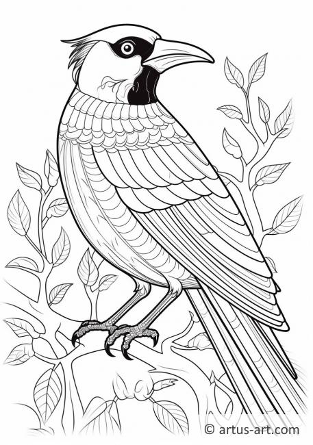 Magpie Coloring Pages Coloring Nation Magpie Coloring Pages Coloring Nation