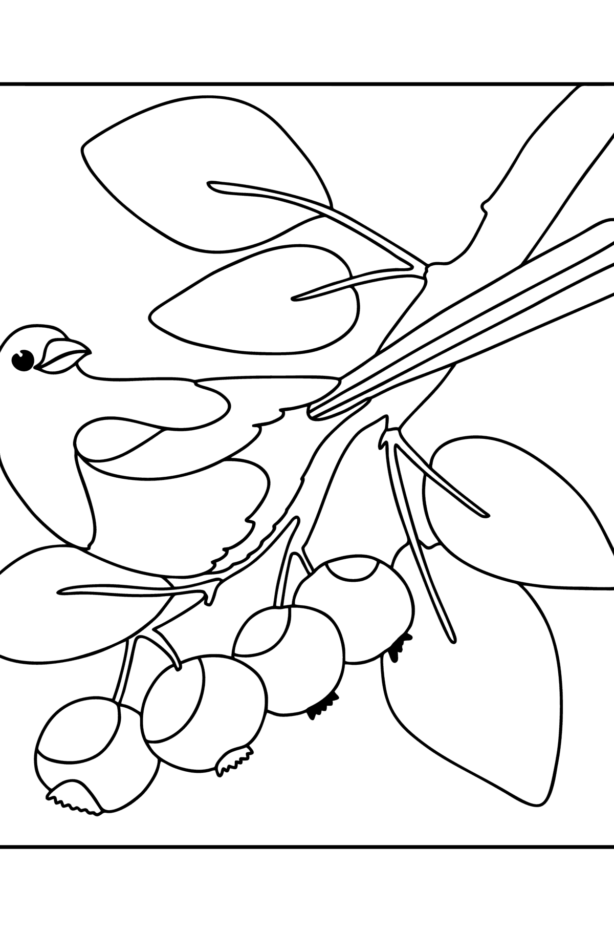 Magpie Coloring Pages Coloring Nation Magpie Coloring Pages Coloring Nation