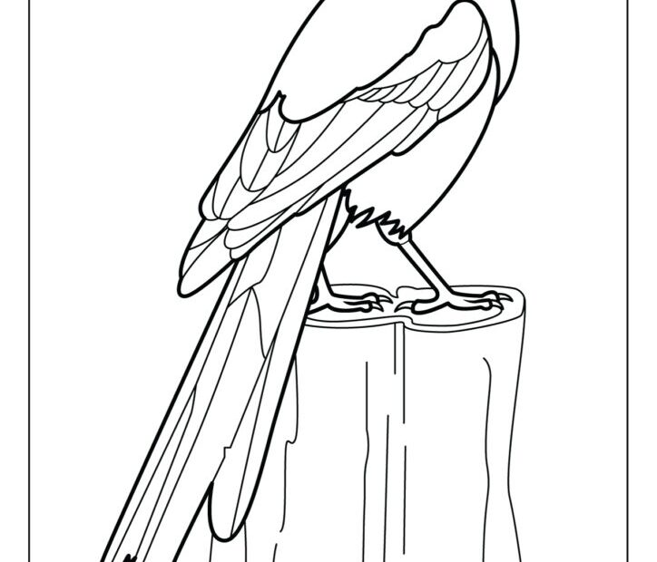 Magpie Coloring Pages Free Printable PDFs WakeTheKids