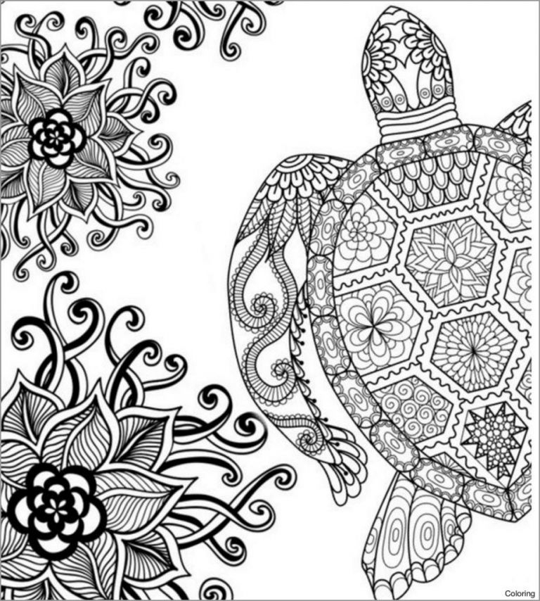 turtle coloring page printable turtle coloring page printable
