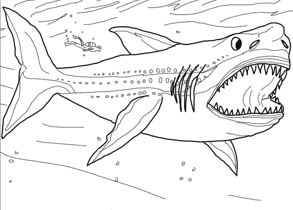 Megalodon Shark Coloring Page Free Printable Coloring Pages For Kids Megalodon Shark Coloring Page Free Printable Coloring Pages For Kids