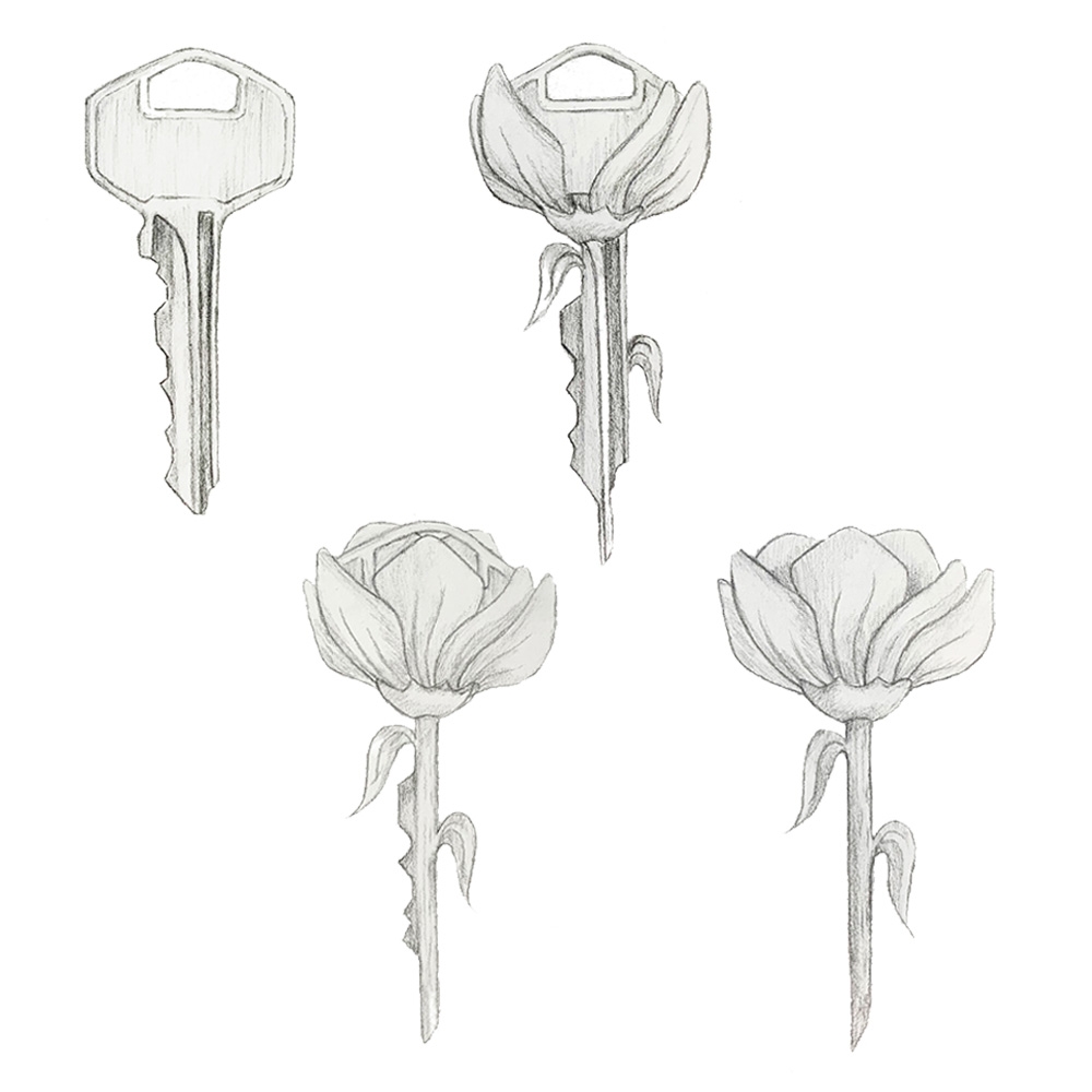 Metamorphosis Drawing Creative Kids Art Lessons Metamorphosis Drawing Creative Kids Art Lessons