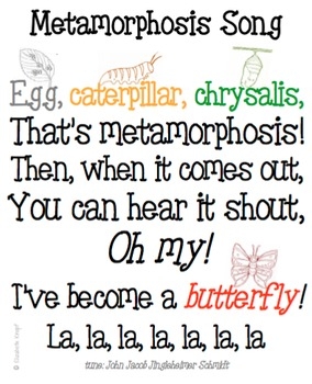Butterfly Life Cycle Song Butterfly Life Cycle Song