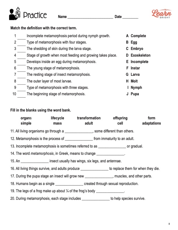 Metamorphosis Worksheets Library Metamorphosis Worksheets Library