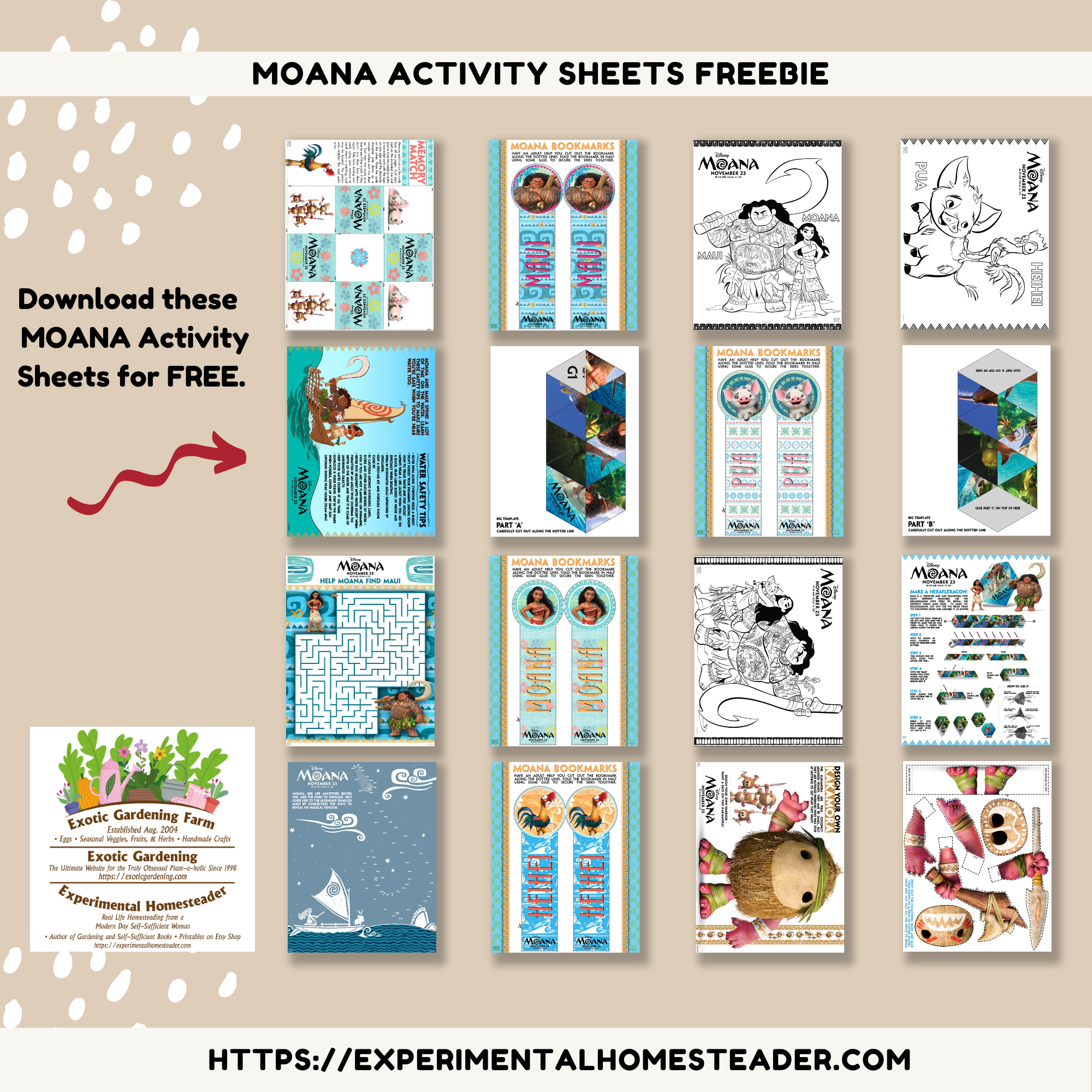 Moana Activity Sheets Freebie Experimental Homesteader Moana Activity Sheets Freebie Experimental Homesteader