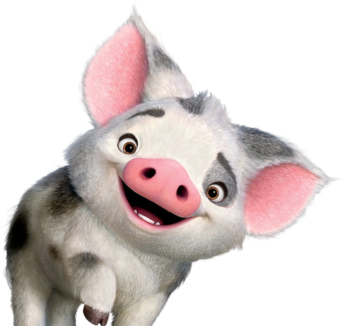 Moana Clipart Character Animal Disney Moana Character Animal Disney Moana Clipart Character Animal Disney Moana Character Animal Disney