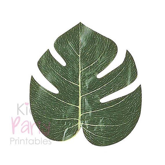 Moana Party Supplies 12 Palm Leaves Moana Decorations Moana Hojas De Moana Party Supplies 12 Palm Leaves Moana Decorations Moana Hojas De