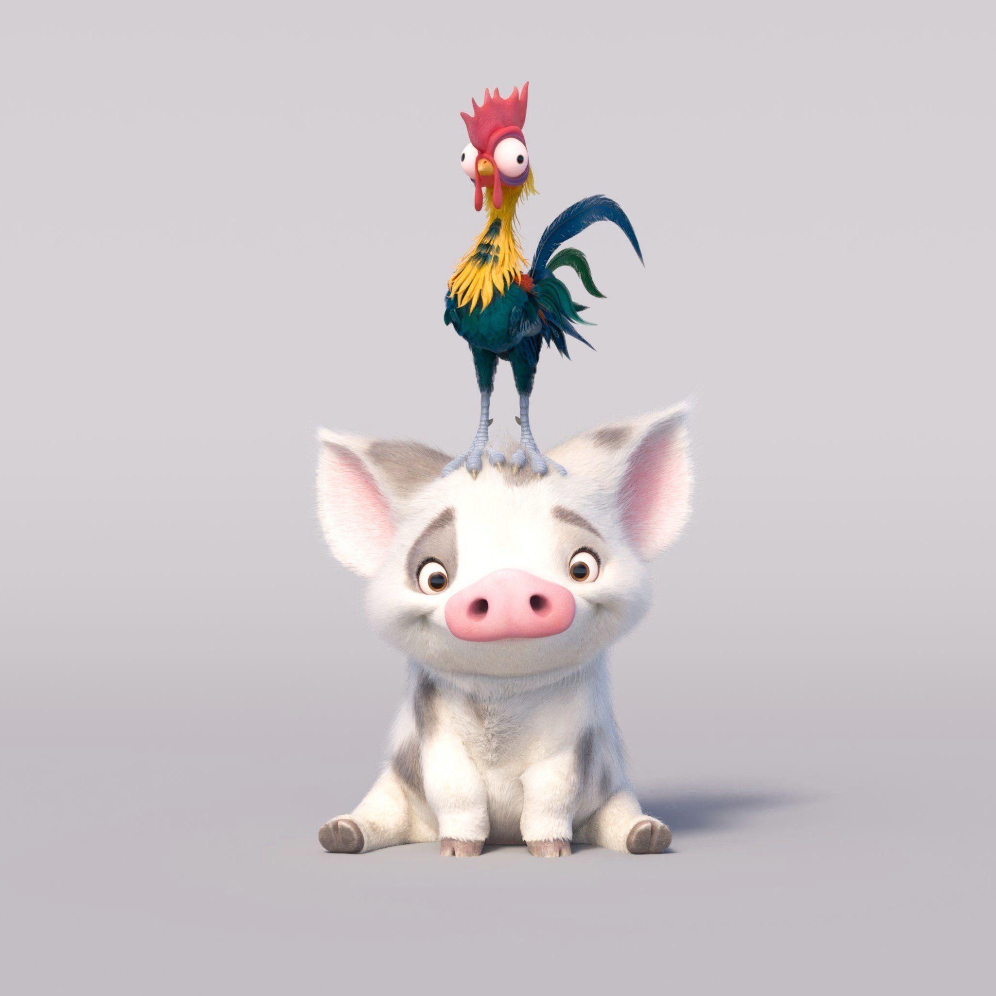 Moana Pig Wallpapers Top Free Moana Pig Backgrounds 44 OFF Moana Pig Wallpapers Top Free Moana Pig Backgrounds 44 OFF