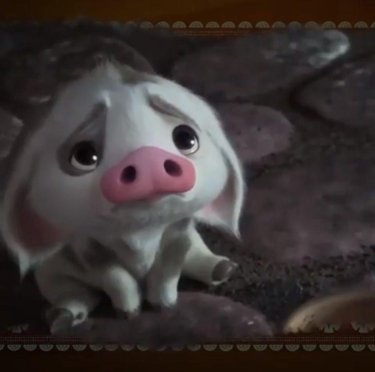 Moana Pig Wallpapers Top Free Moana Pig Backgrounds WallpaperAccess Moana Pig Wallpapers Top Free Moana Pig Backgrounds WallpaperAccess