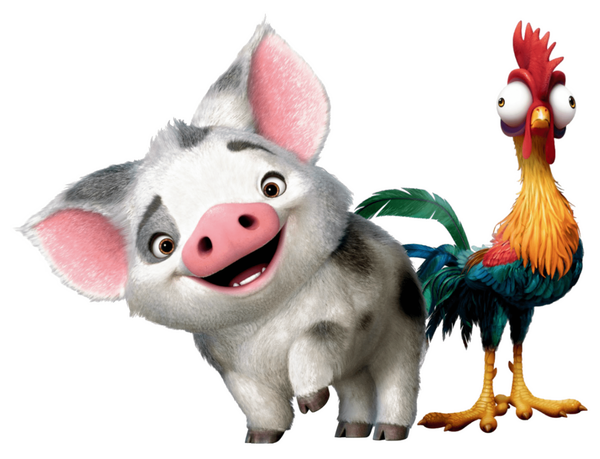 Moana Pig Wallpapers Top Free Moana Pig Backgrounds WallpaperAccess Moana Pig Wallpapers Top Free Moana Pig Backgrounds WallpaperAccess