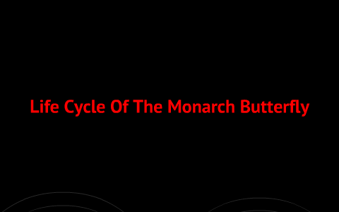 Life Cycle of Buterfly Outline Life Cycle of Buterfly Outline