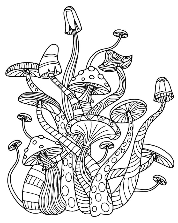 mushroom coloring sheet printable