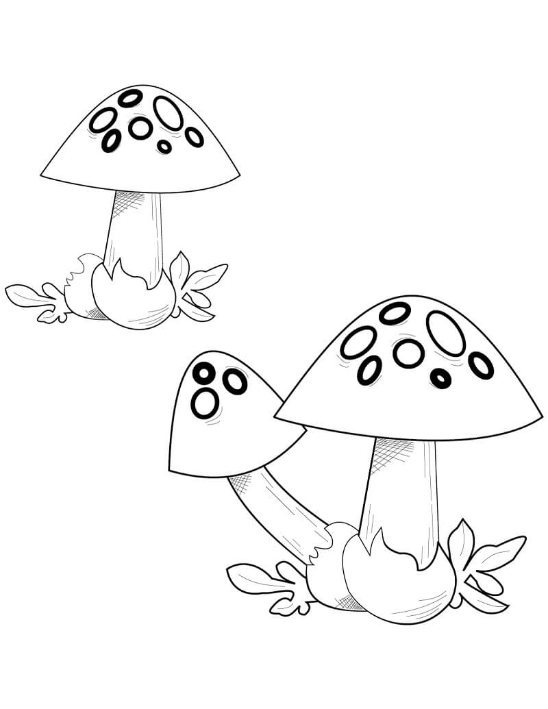 Mushrooms 7 Coloring Page Free Printable Coloring Pages For Kids Mushrooms 7 Coloring Page Free Printable Coloring Pages For Kids