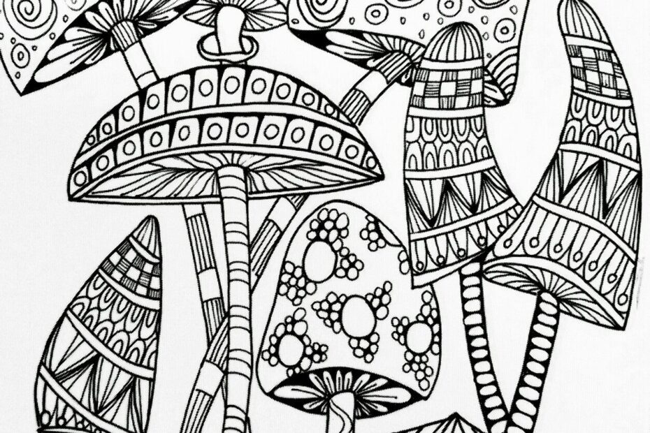 Mushrooms Coloring Book AdultcoloringbookZ