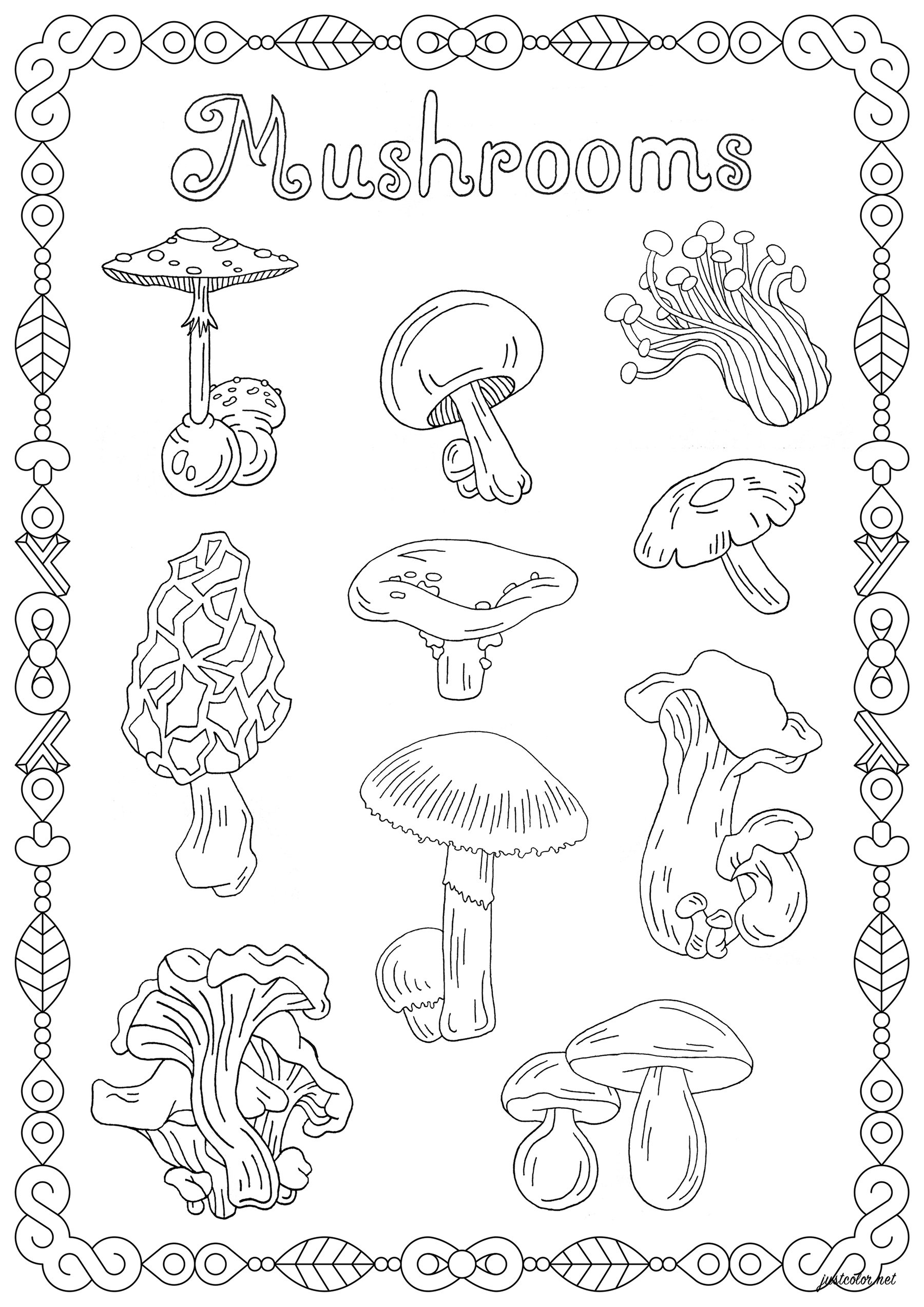 Mushrooms Flowers Vegetation Coloring Pages For Adults Mushrooms Flowers Vegetation Coloring Pages For Adults