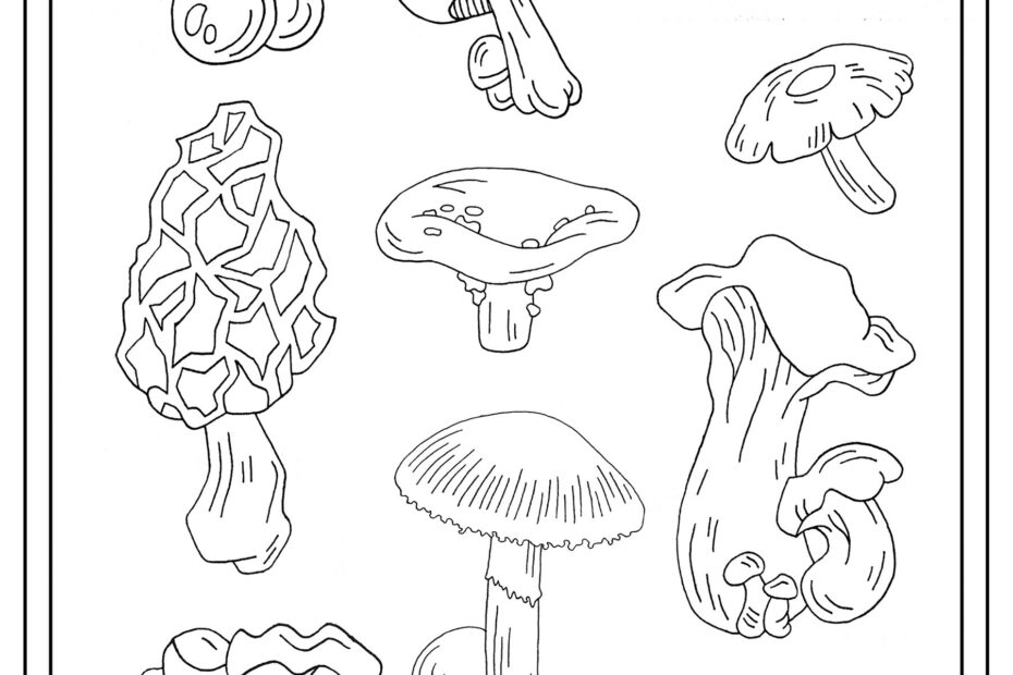 Mushrooms single Mushroom Coloring Pages