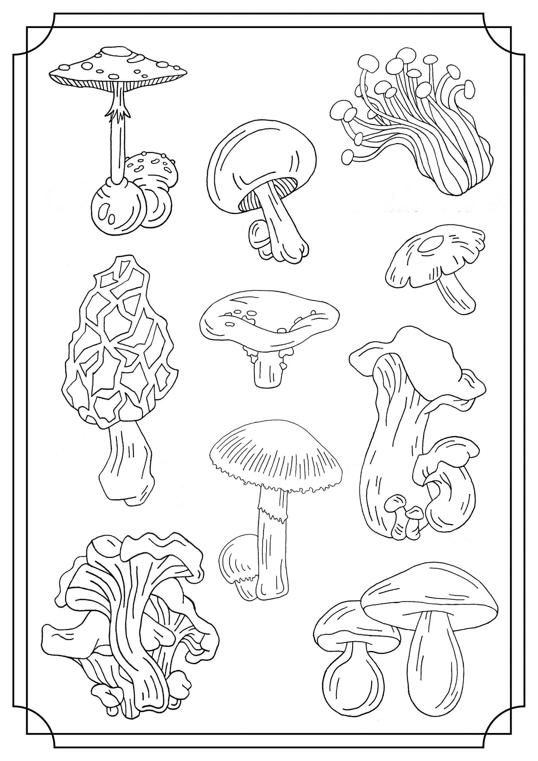Mushrooms single Mushroom Coloring Pages Mushrooms single Mushroom Coloring Pages