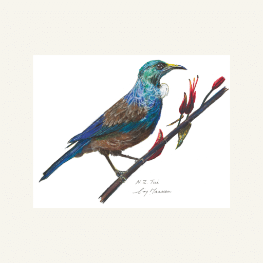 Native Bird And Moana Greeting Cards Amber Lee Floral Studio