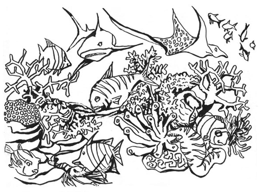 ocean animals coloring pages ocean animals coloring pages