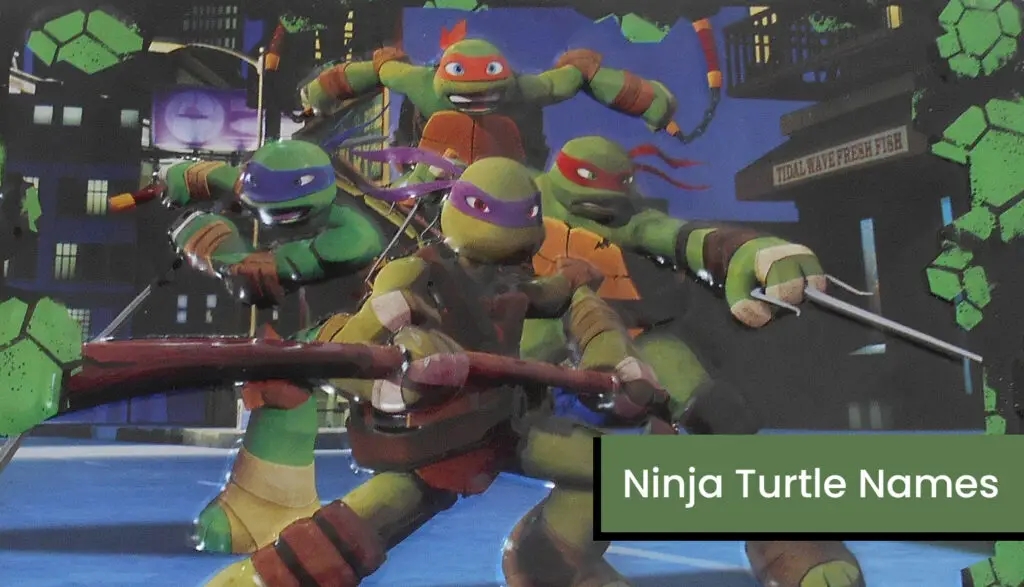 Ninja Turtle Names Very Many Names Ninja Turtle Names Very Many Names