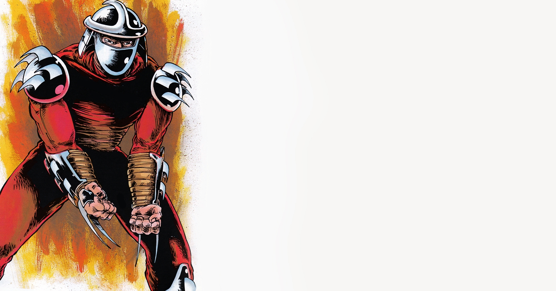 do turtles hate black shoes do turtles hate black shoes