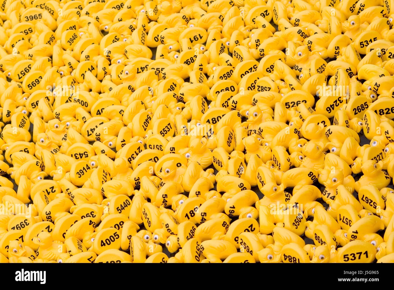 Numbered Animals Hi res Stock Photography And Images Alamy Numbered Animals Hi res Stock Photography And Images Alamy
