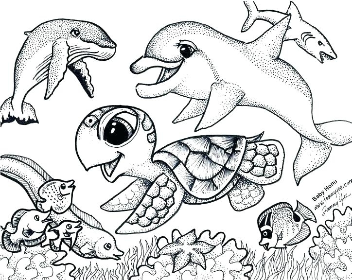 cute ocean animals coloring pages cute ocean animals coloring pages