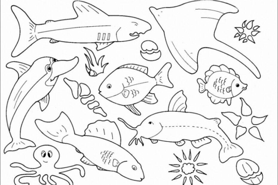 Ocean Animals Coloring Pages ColoringBay