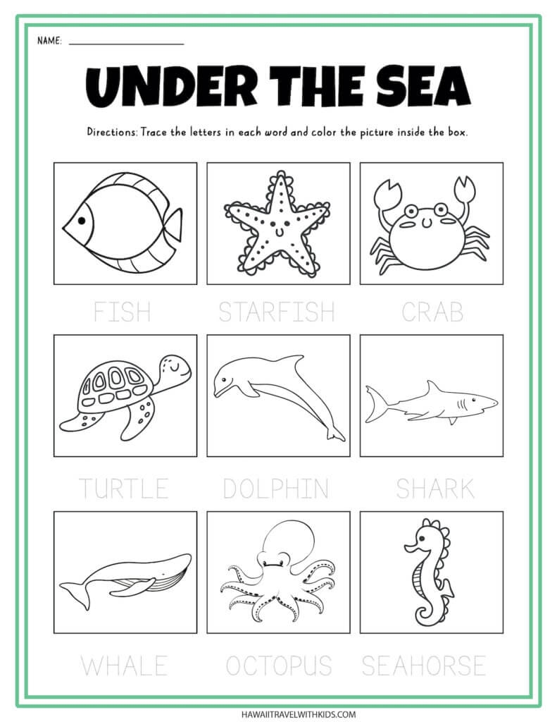 Ocean Animals Pictures Printable Ocean Animals Pictures Printable