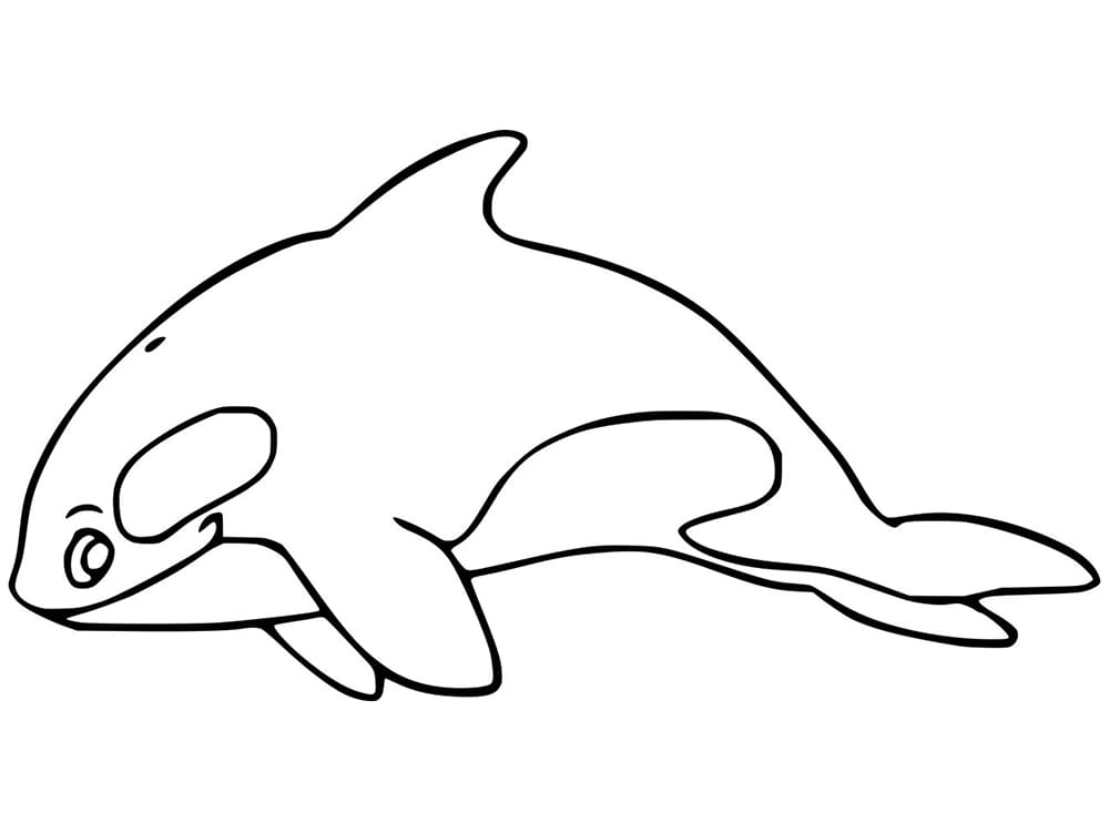 free printable orca coloring pages free printable orca coloring pages