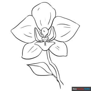 Orchid Coloring Page Easy Drawing Guides Orchid Coloring Page Easy Drawing Guides