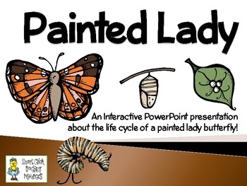 Painted Lady Butterflies An Interactive Presentation Of Their Life Cycle Painted Lady Butterflies An Interactive Presentation Of Their Life Cycle