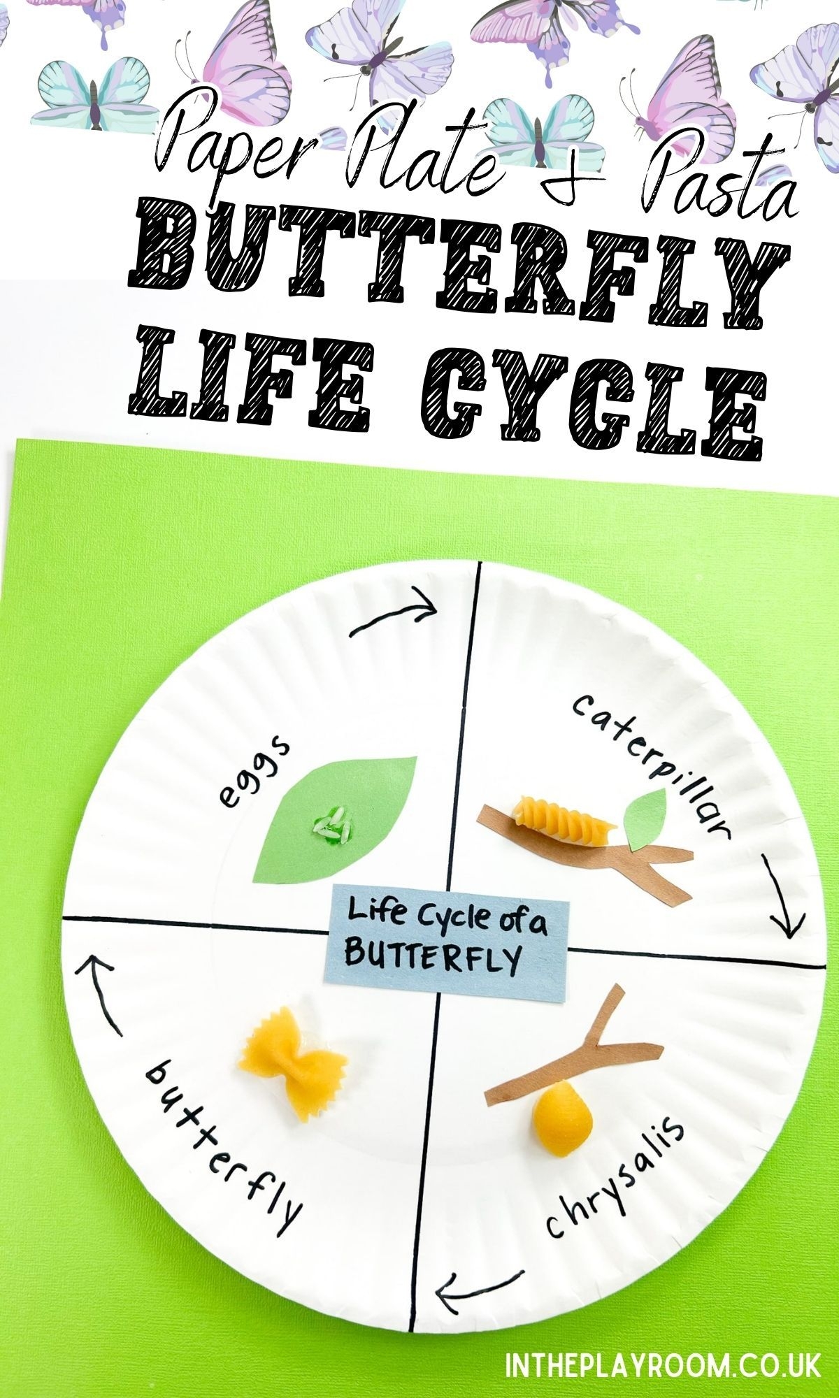 Paper Plate Butterfly Life Cycle Paper Plate Butterfly Life Cycle