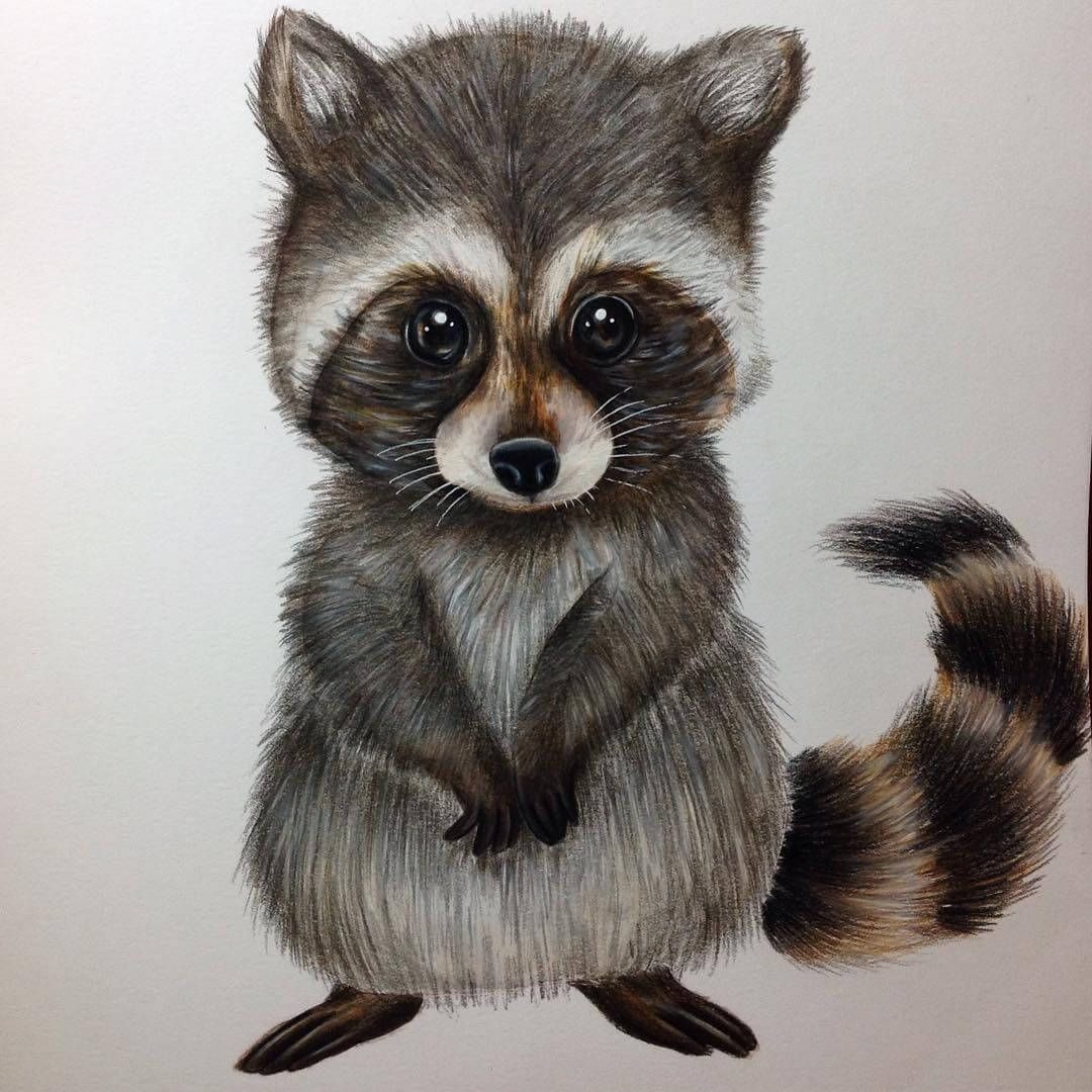 Pencil Drawings Of Cute Animals Warehouse Of Ideas Pencil Drawings Of Cute Animals Warehouse Of Ideas