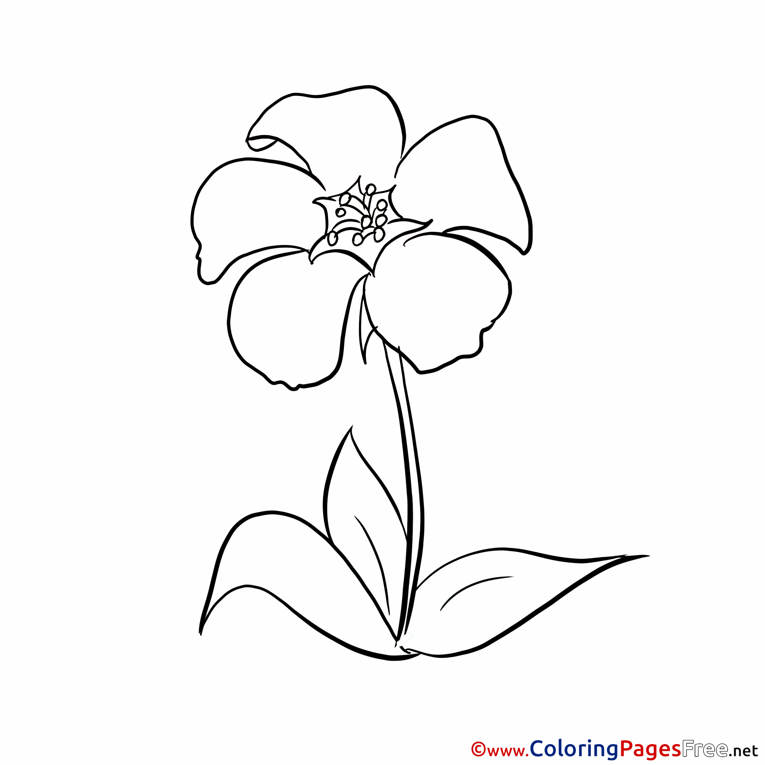 Picture Free Printable Coloring Sheets Picture Free Printable Coloring Sheets