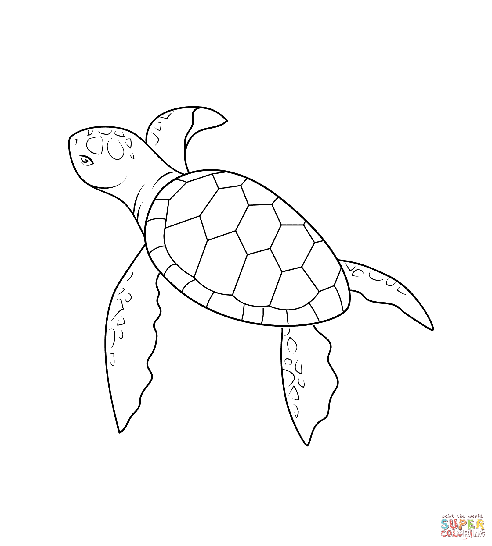 Pictures Of Sea Turtles Printable Pictures Of Sea Turtles Printable