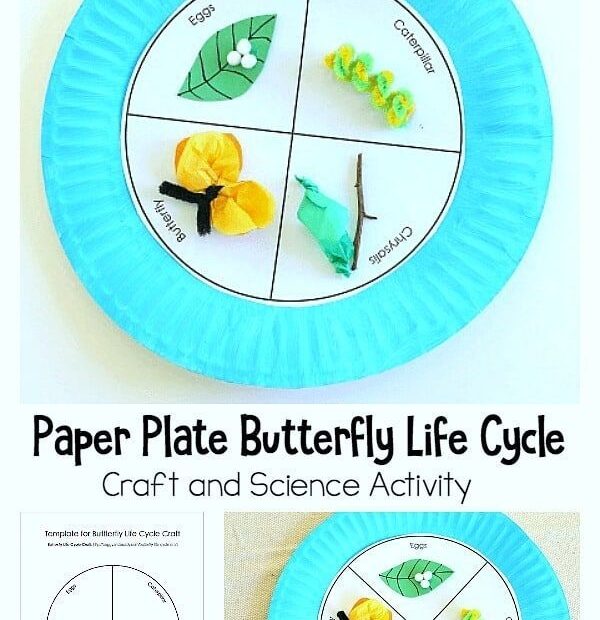 Pin On Paper Plate Crafts