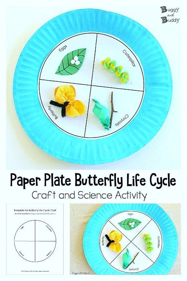 Pin On Paper Plate Crafts Pin On Paper Plate Crafts