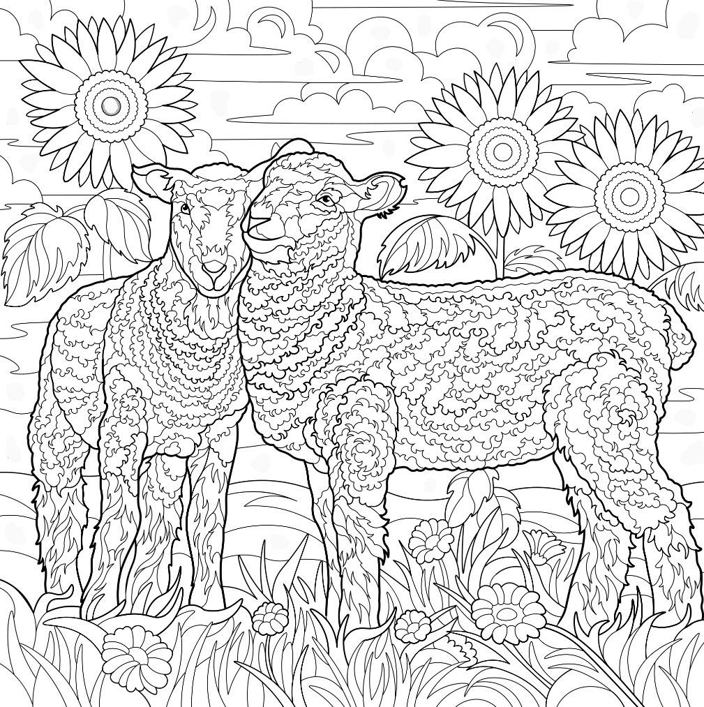 Pin Van Barbara Op Coloring Farm Animals Pin Van Barbara Op Coloring Farm Animals