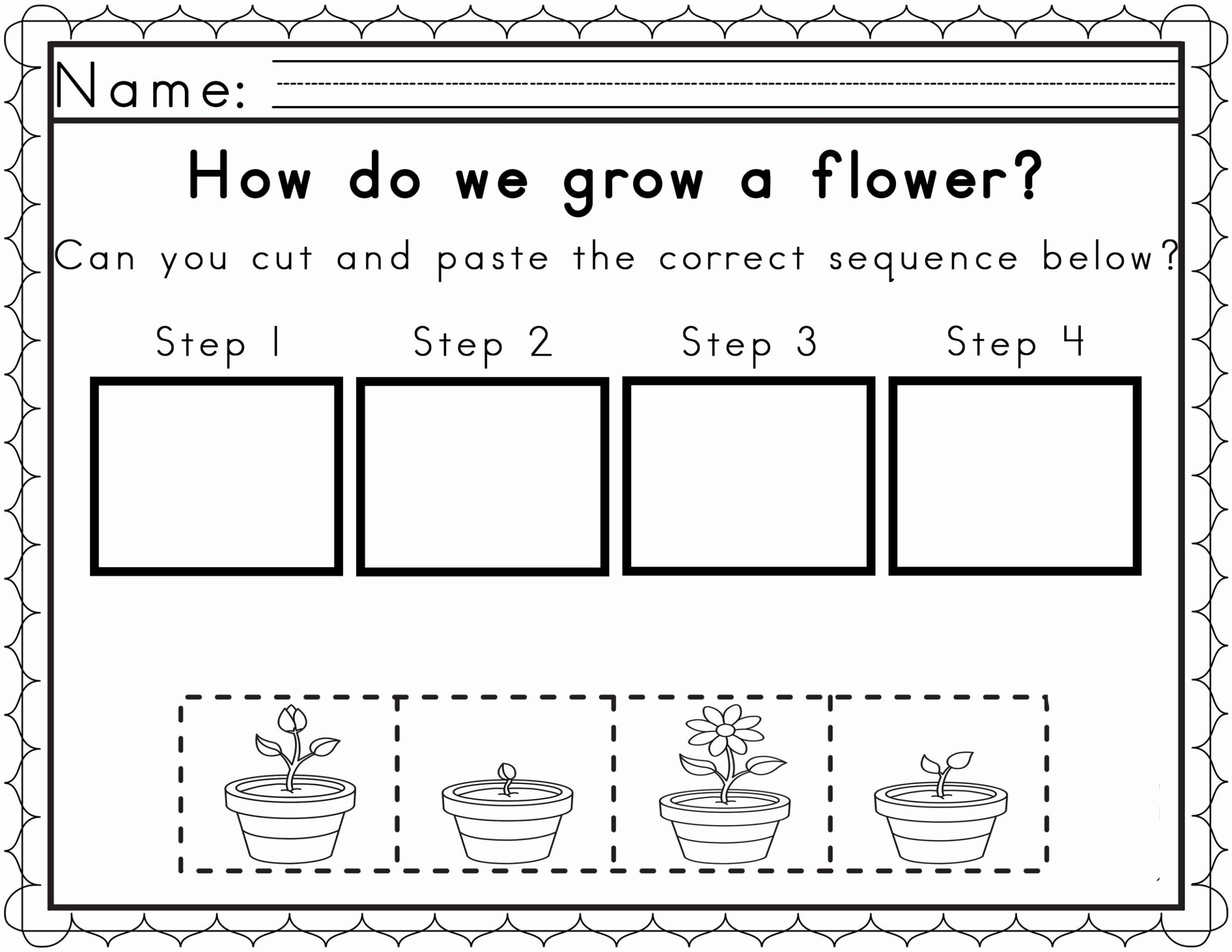 Plant Life Cycle Activity For Kindergarten Plant Life Cycle Activity For Kindergarten