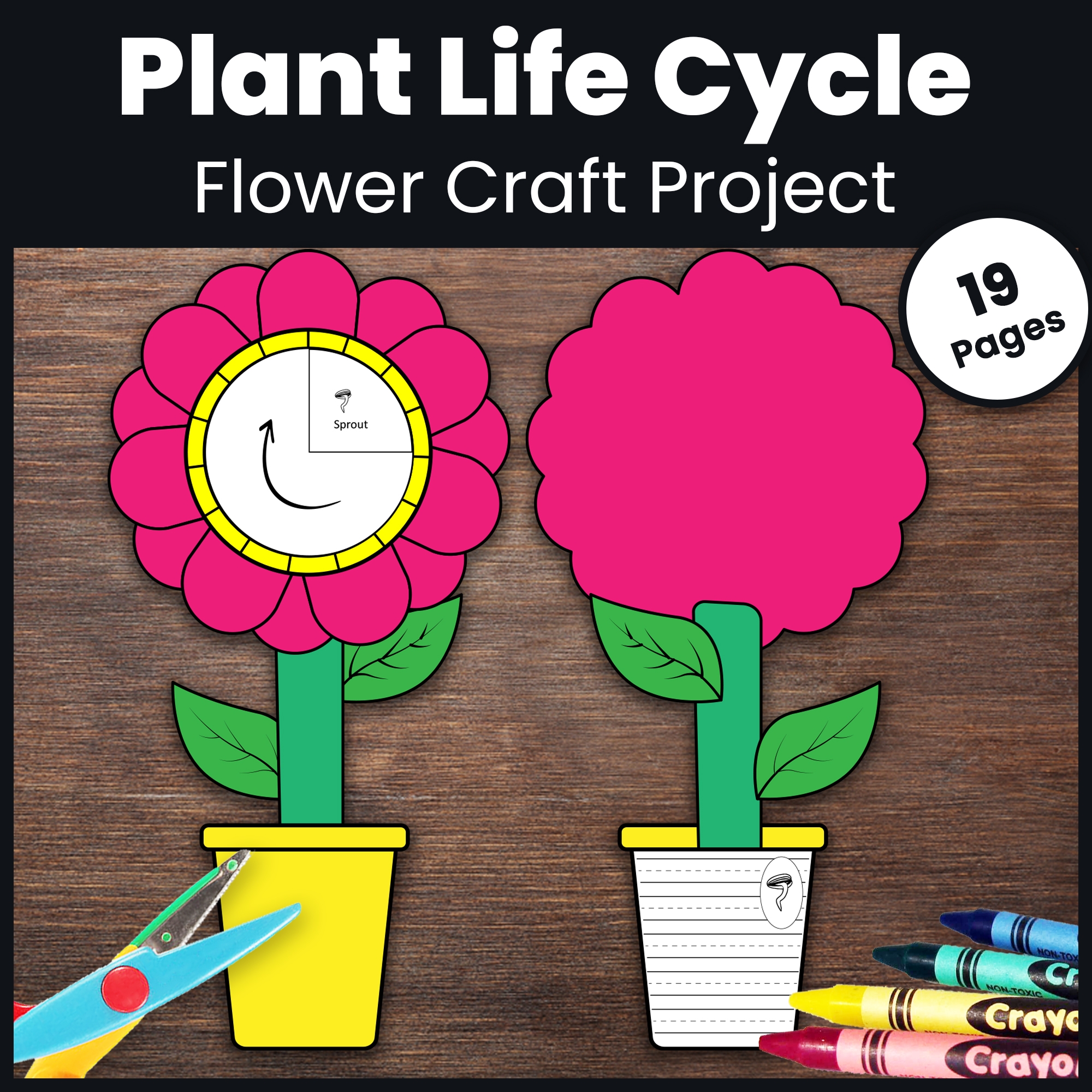 Plant Life Cycle Flower Plant Life Cycle Worksheet Flower 3 in 1 Plant Life Cycle Flower Plant Life Cycle Worksheet Flower 3 in 1