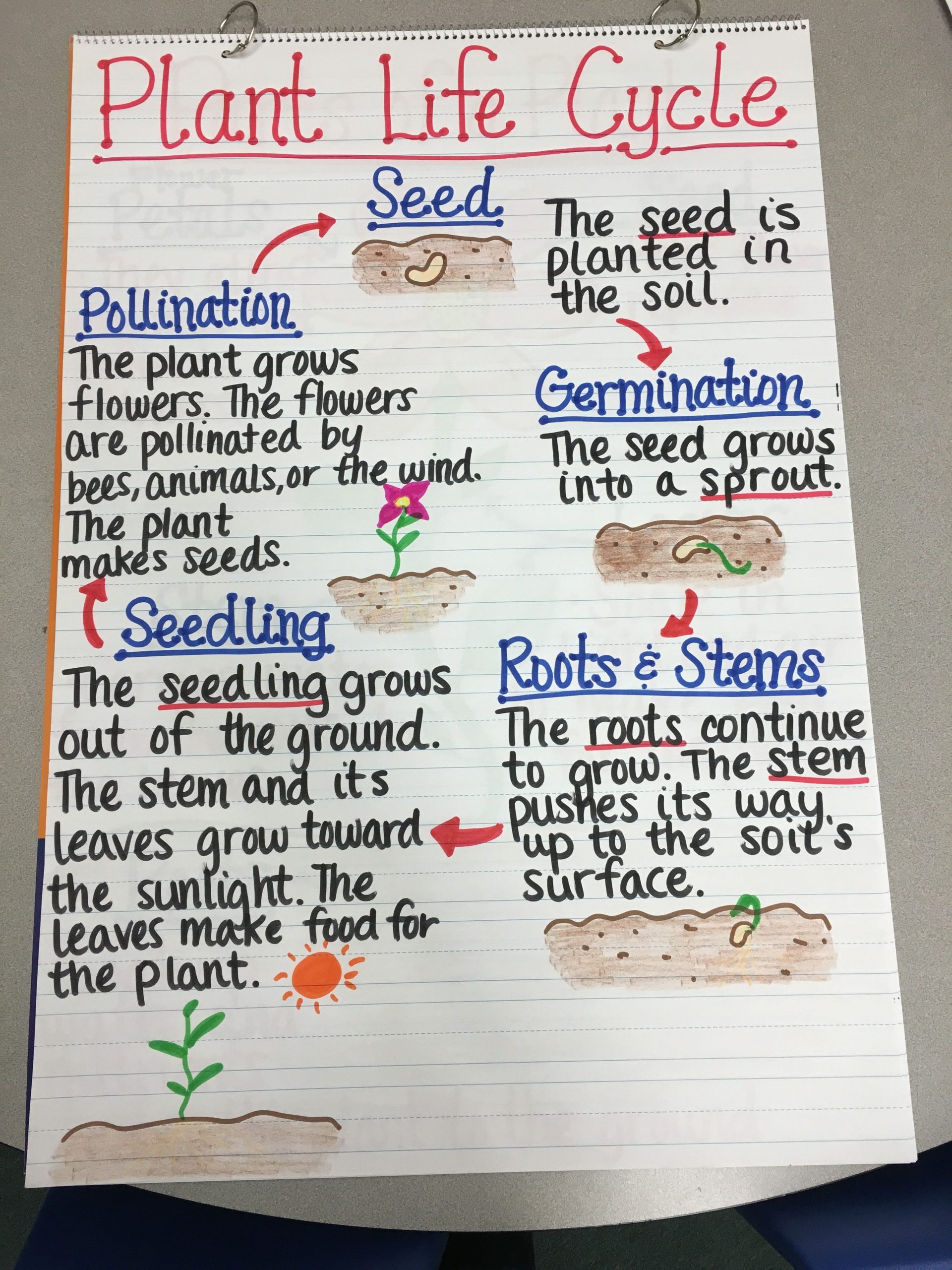Plant Life Cycle Lesson Plan 5th Grade Lesson Plans Learning Plant Life Cycle Lesson Plan 5th Grade Lesson Plans Learning