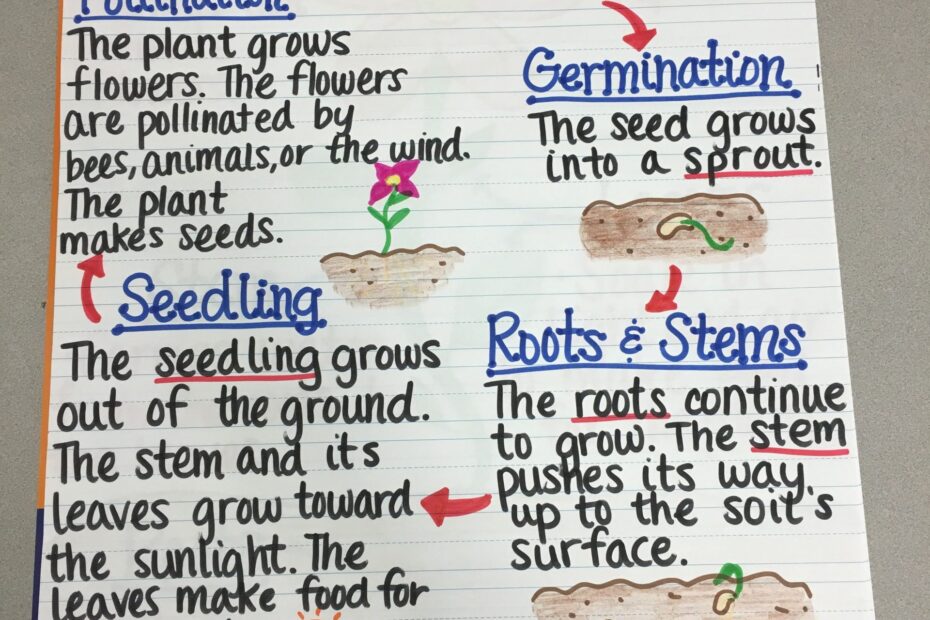 Plant Life Cycle Lesson Plan 5th Grade Lesson Plans Learning