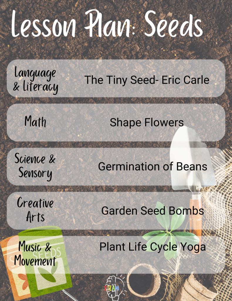 Plant Life Cycle Lesson Plan Catie 39 s STEAM Lab Plant Life Cycle Lesson Plan Catie 39 s STEAM Lab