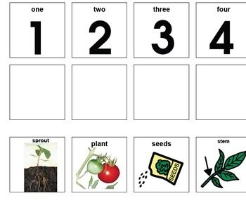 Plant Life Cycle Sequencing Cards